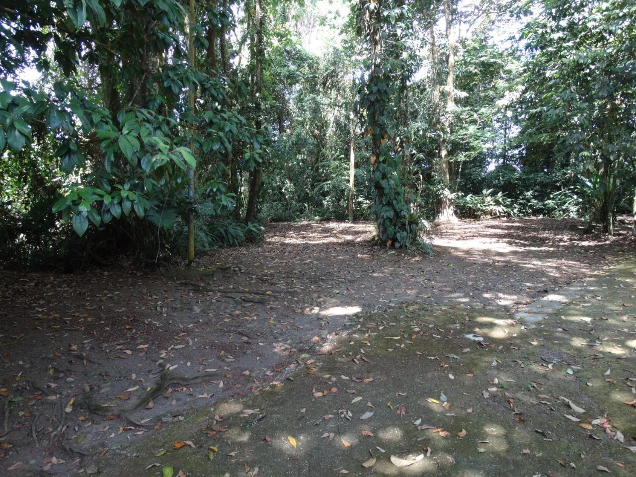 Horquetas River Lodge Sarapiquí Exteriör bild