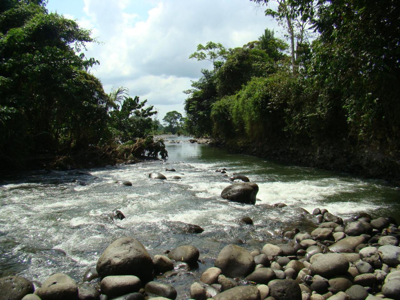 Horquetas River Lodge Sarapiquí Exteriör bild