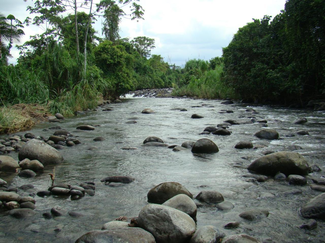 Horquetas River Lodge Sarapiquí Exteriör bild