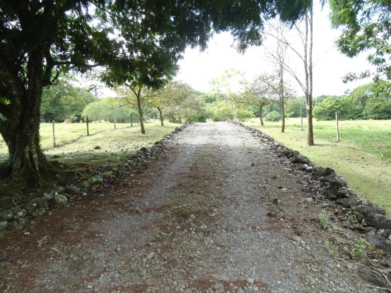 Horquetas River Lodge Sarapiquí Exteriör bild