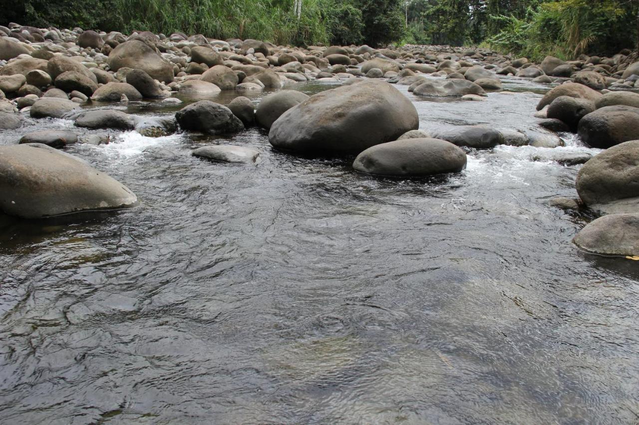 Horquetas River Lodge Sarapiquí Exteriör bild