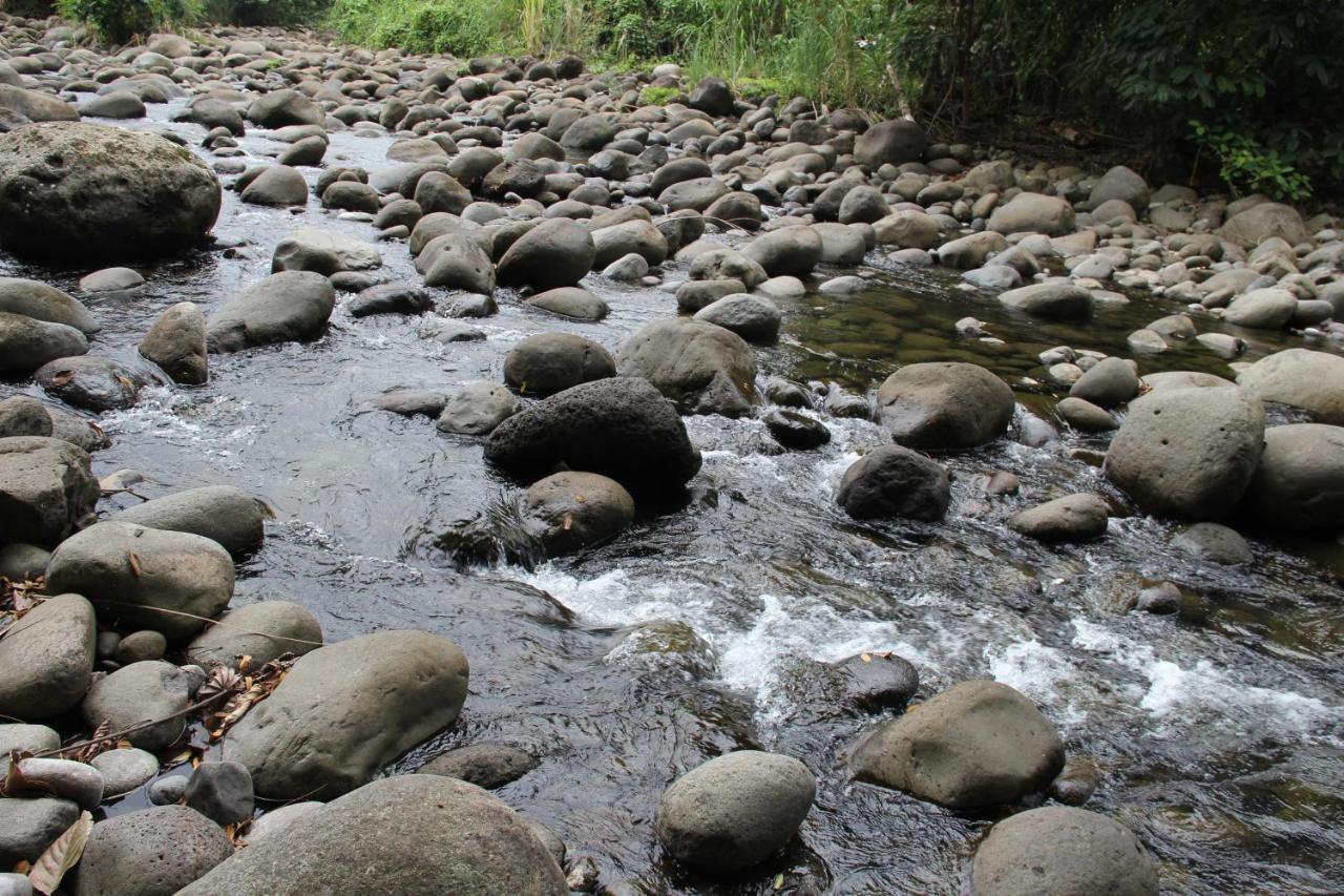 Horquetas River Lodge Sarapiquí Exteriör bild