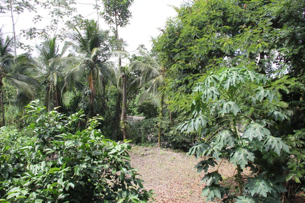 Horquetas River Lodge Sarapiquí Exteriör bild
