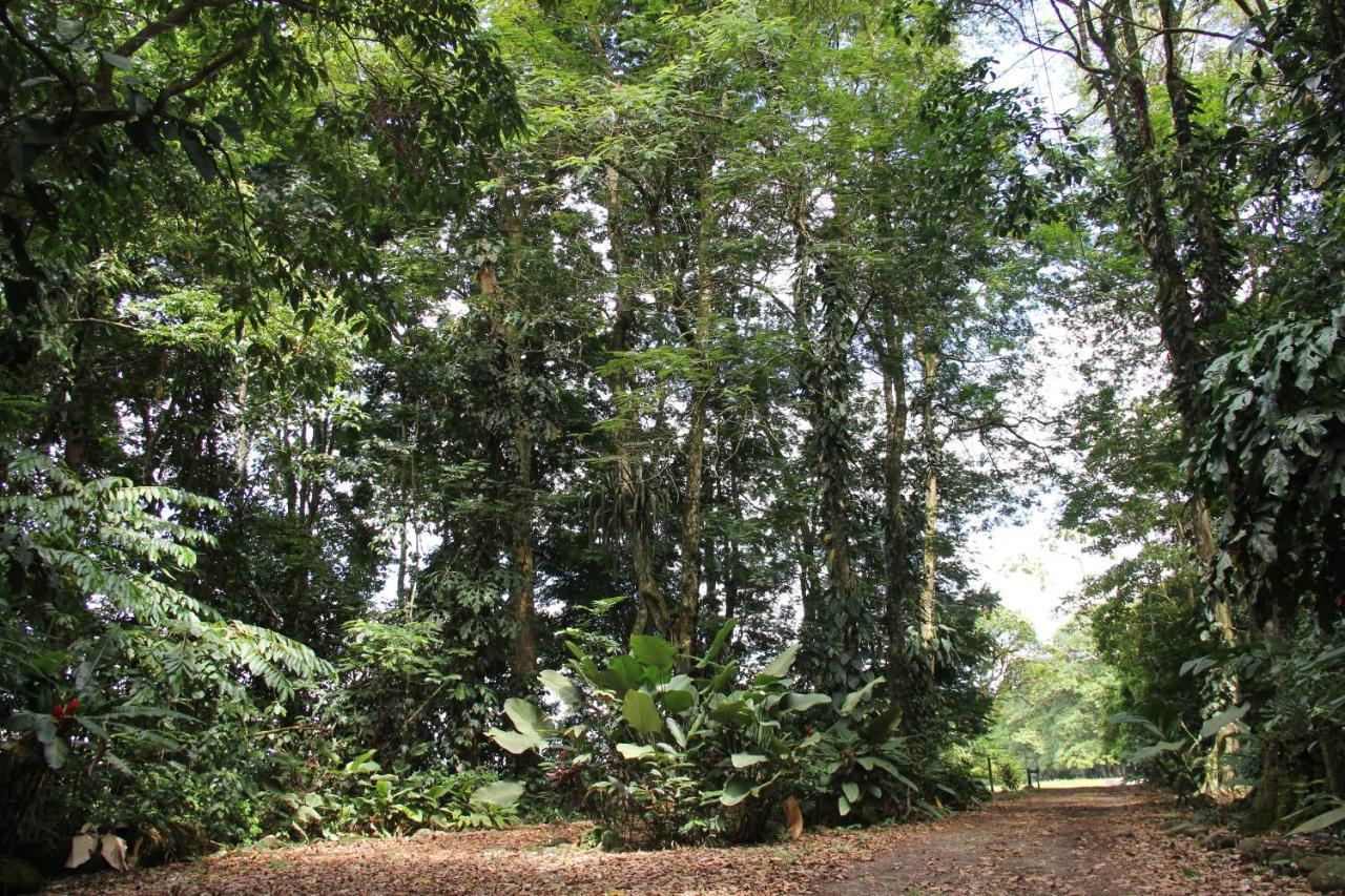 Horquetas River Lodge Sarapiquí Exteriör bild