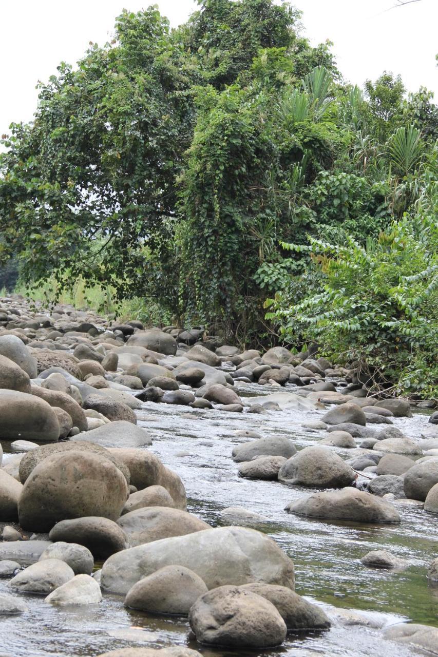 Horquetas River Lodge Sarapiquí Exteriör bild