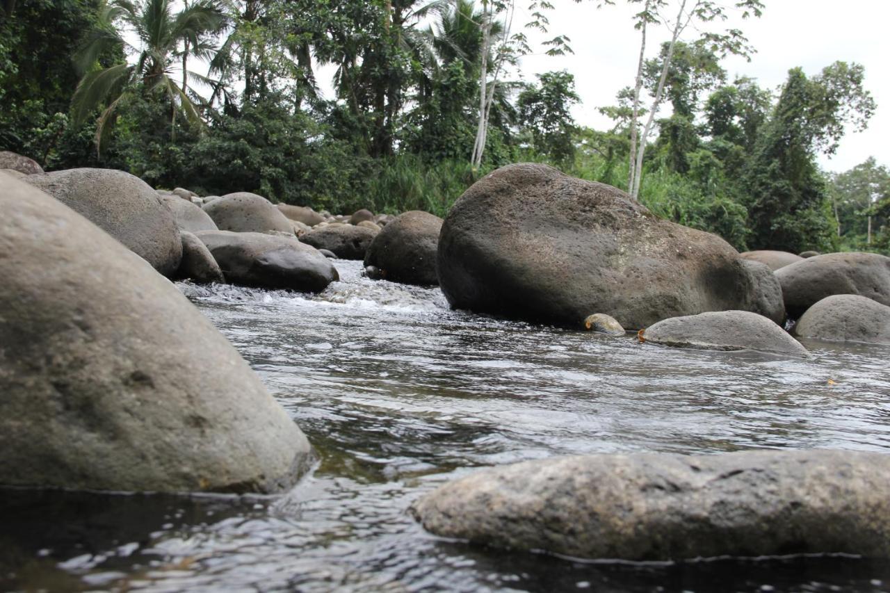 Horquetas River Lodge Sarapiquí Exteriör bild