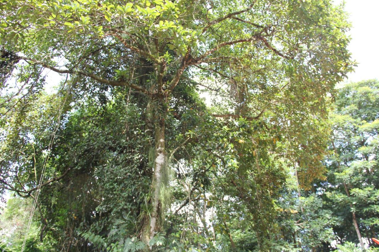 Horquetas River Lodge Sarapiquí Exteriör bild
