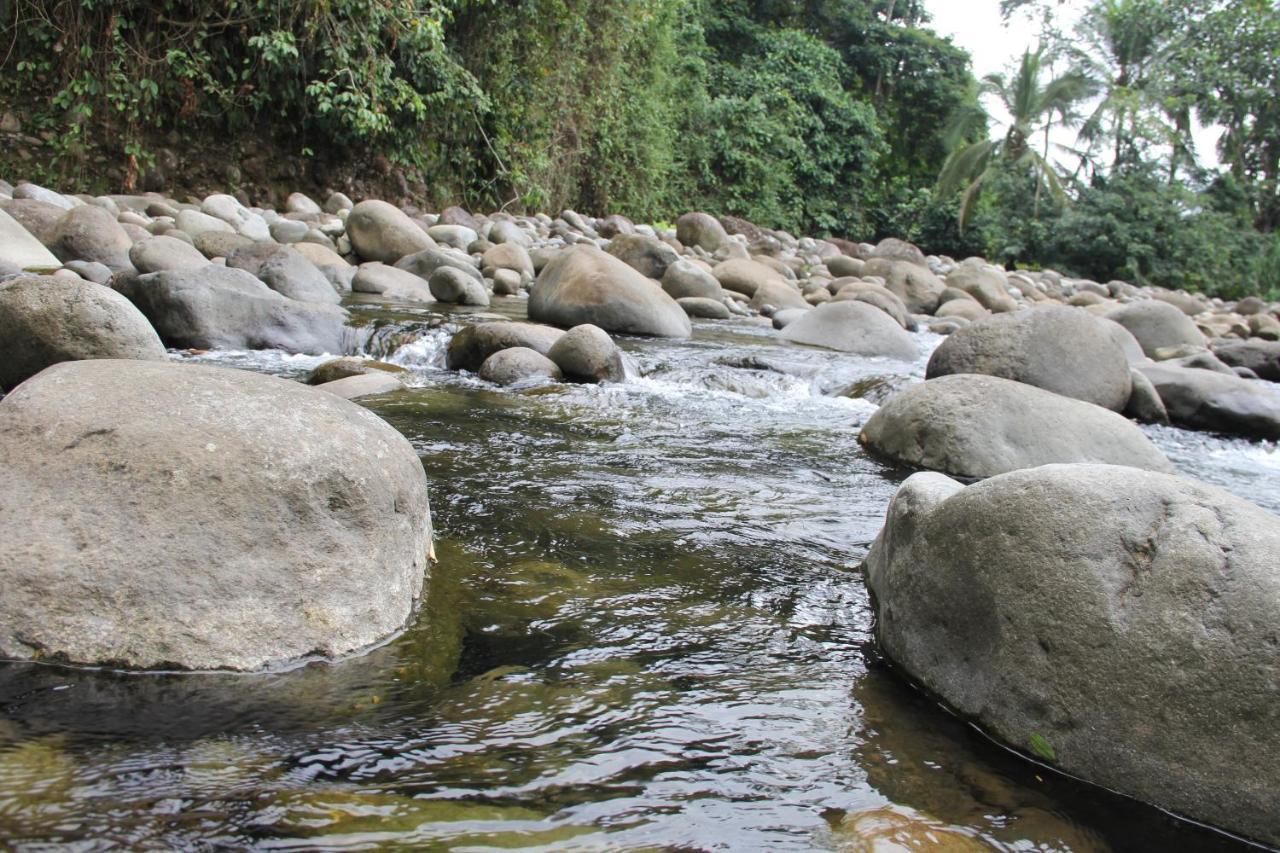 Horquetas River Lodge Sarapiquí Exteriör bild